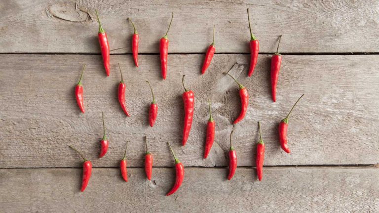 What Makes Pepper Different From Chili?